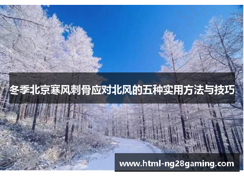 冬季北京寒风刺骨应对北风的五种实用方法与技巧 冬季北京寒风刺骨应对北风的五种实用方法与技巧