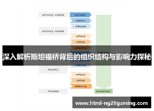 深入解析斯坦福桥背后的组织结构与影响力探秘
