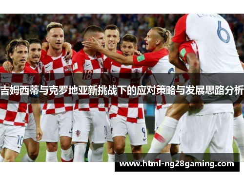 吉姆西蒂与克罗地亚新挑战下的应对策略与发展思路分析