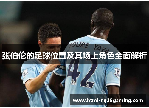 张伯伦的足球位置及其场上角色全面解析