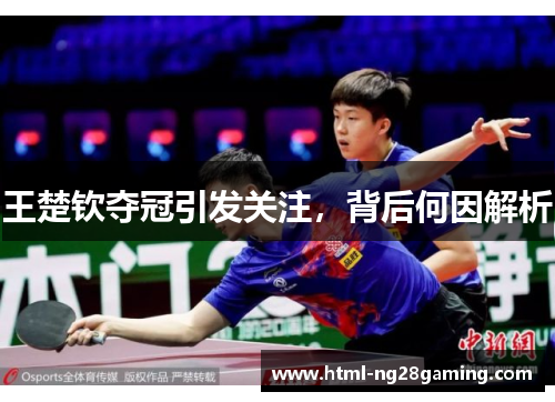 王楚钦夺冠引发关注，背后何因解析