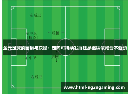 金元足球的困境与抉择：走向可持续发展还是继续依赖资本驱动
