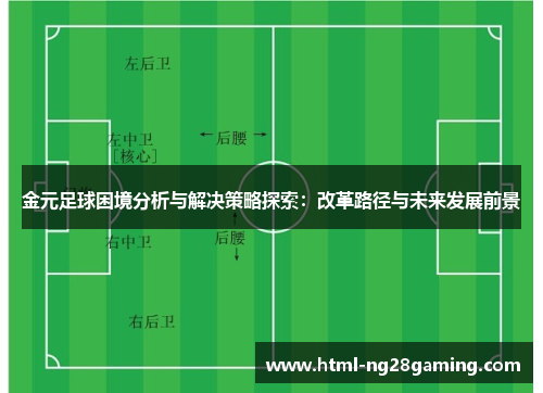 金元足球困境分析与解决策略探索：改革路径与未来发展前景