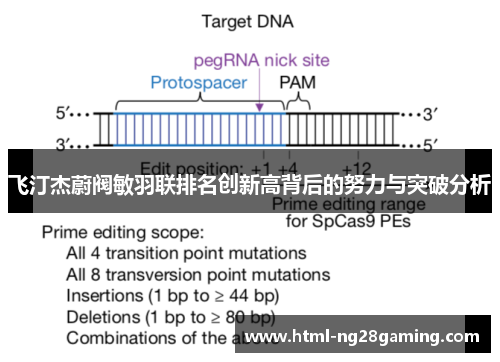飞汀杰蔚阀敏羽联排名创新高背后的努力与突破分析