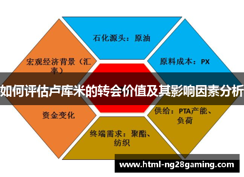 如何评估卢库米的转会价值及其影响因素分析